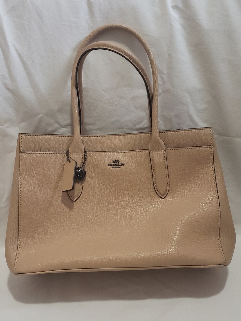 Coach Bailey Carryall Tote Bag